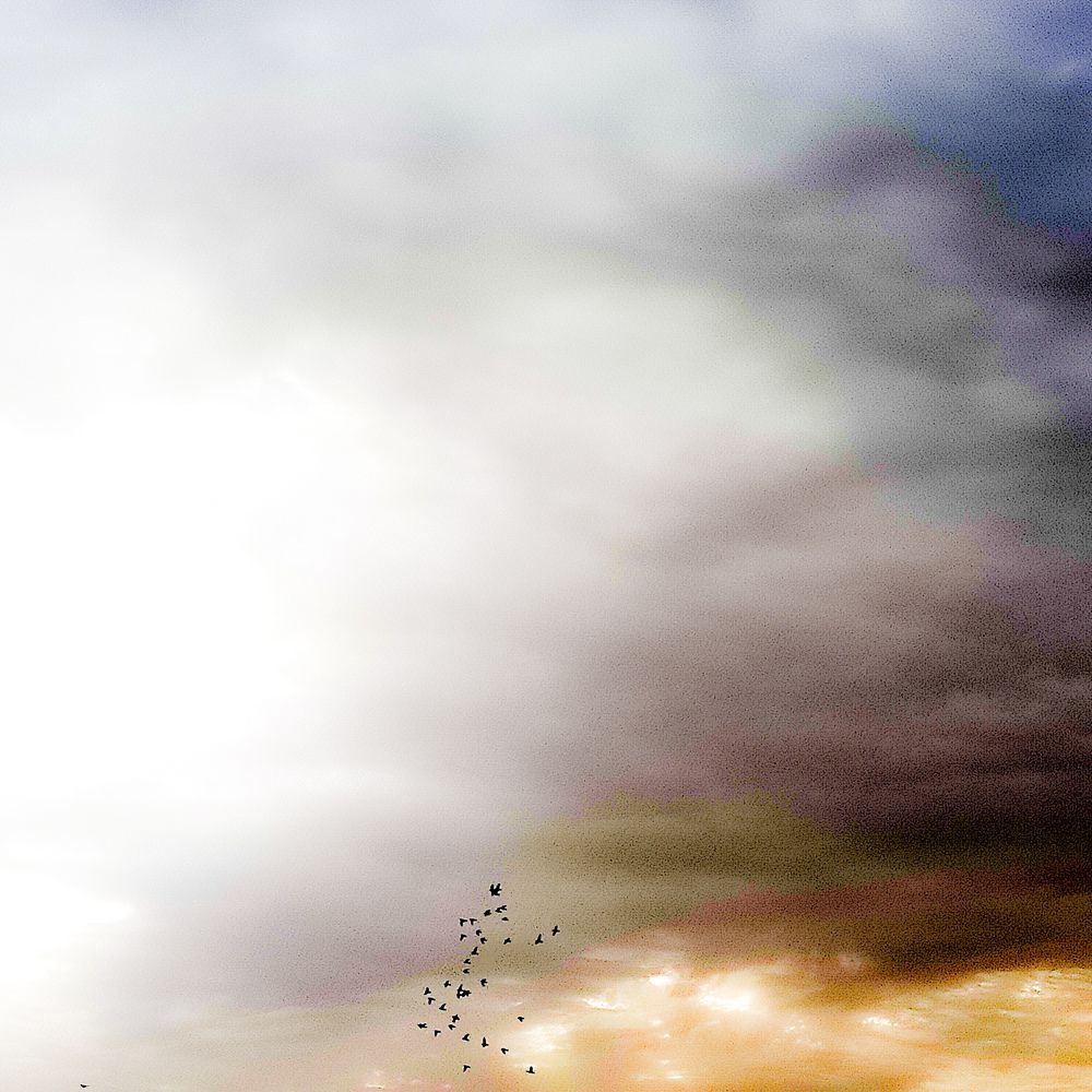 Photograph by Amaal Farrag