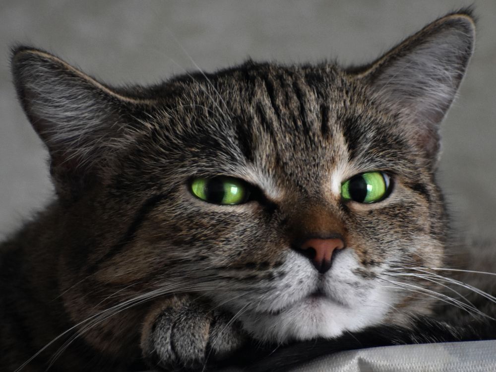 Photograph by Наталья Аржинт