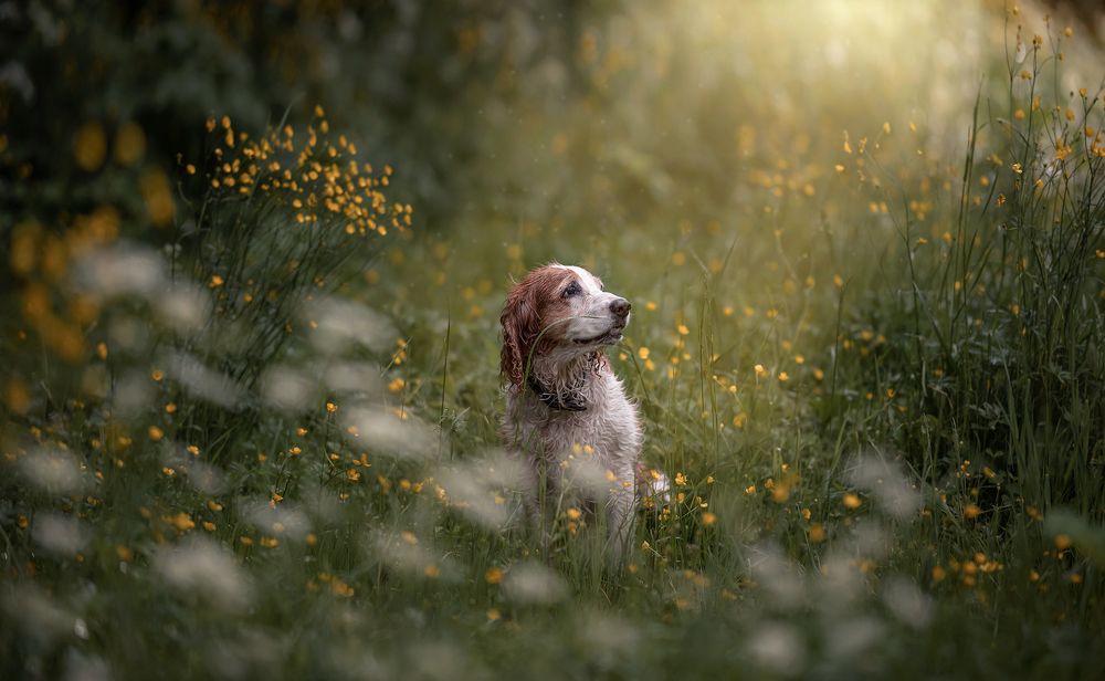 Photograph by Наталия Иванова