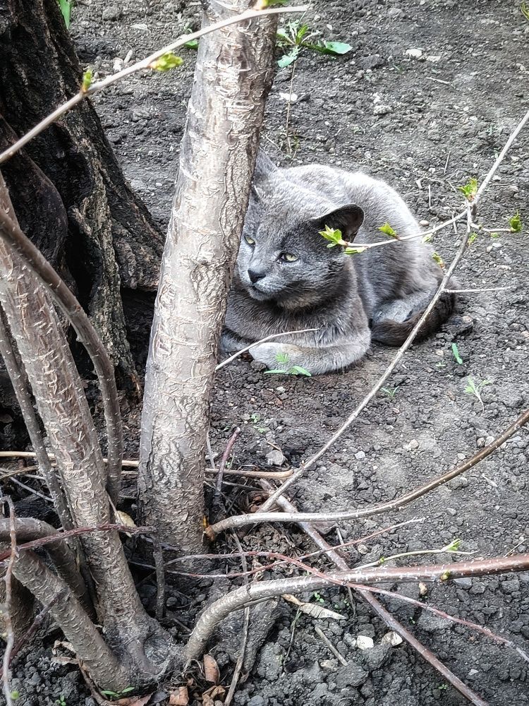 Фотография автора Ольга Игуменова