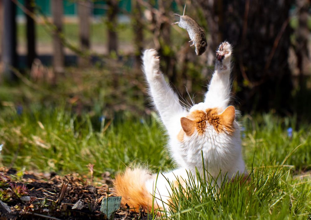 Photograph by Наталья Викарчук