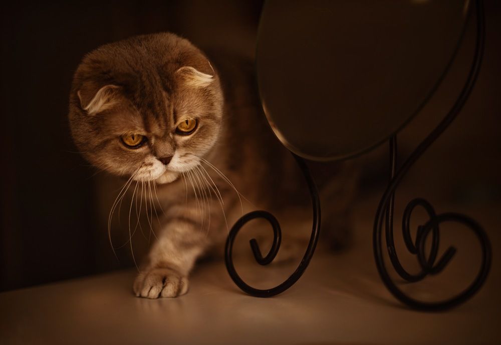 Photograph by Алена Теслюк