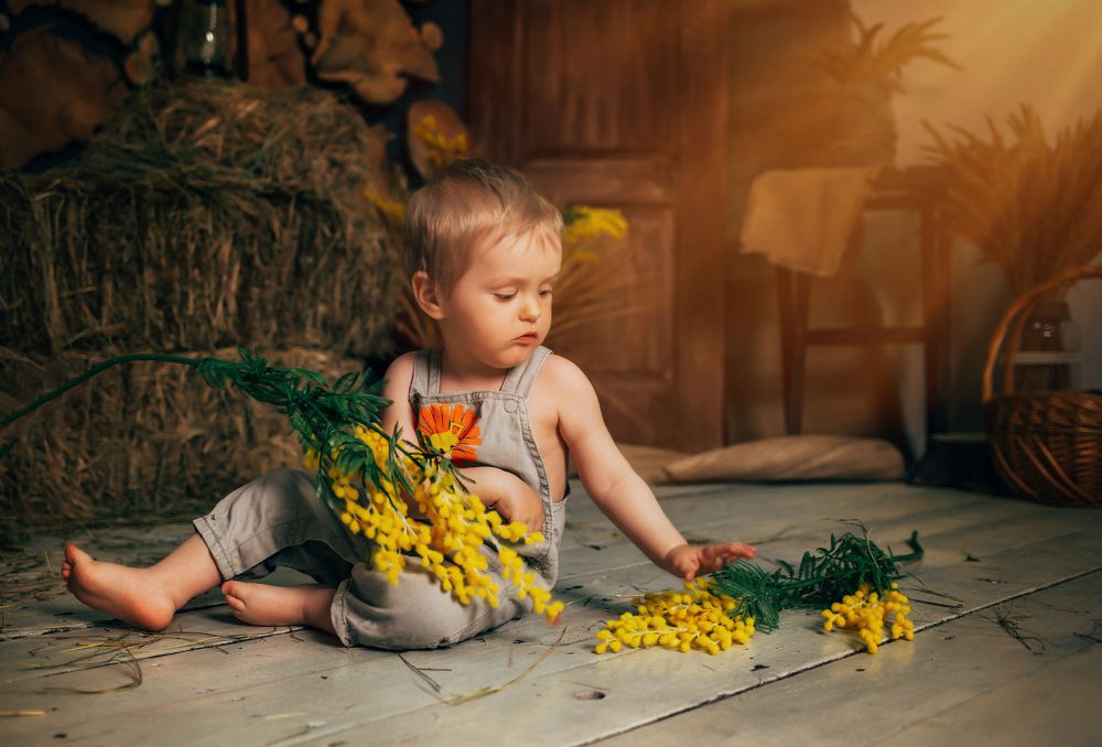 Photograph by Зинаида Дрим