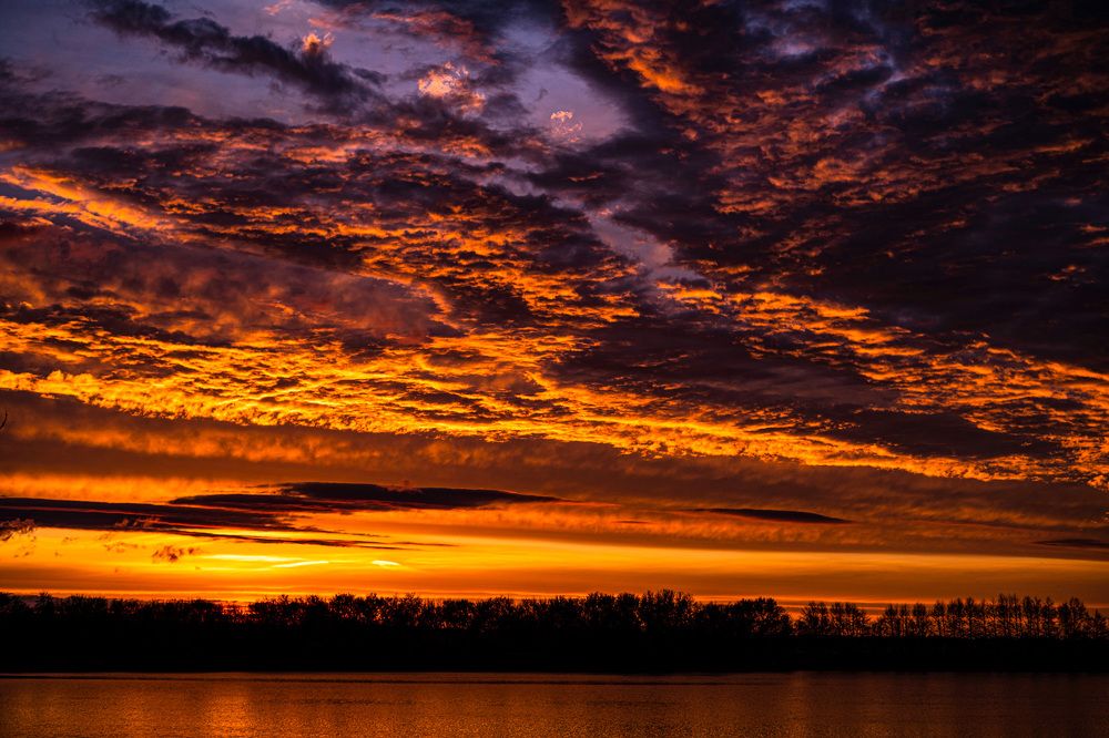 Фотография автора Александр Кременицкий