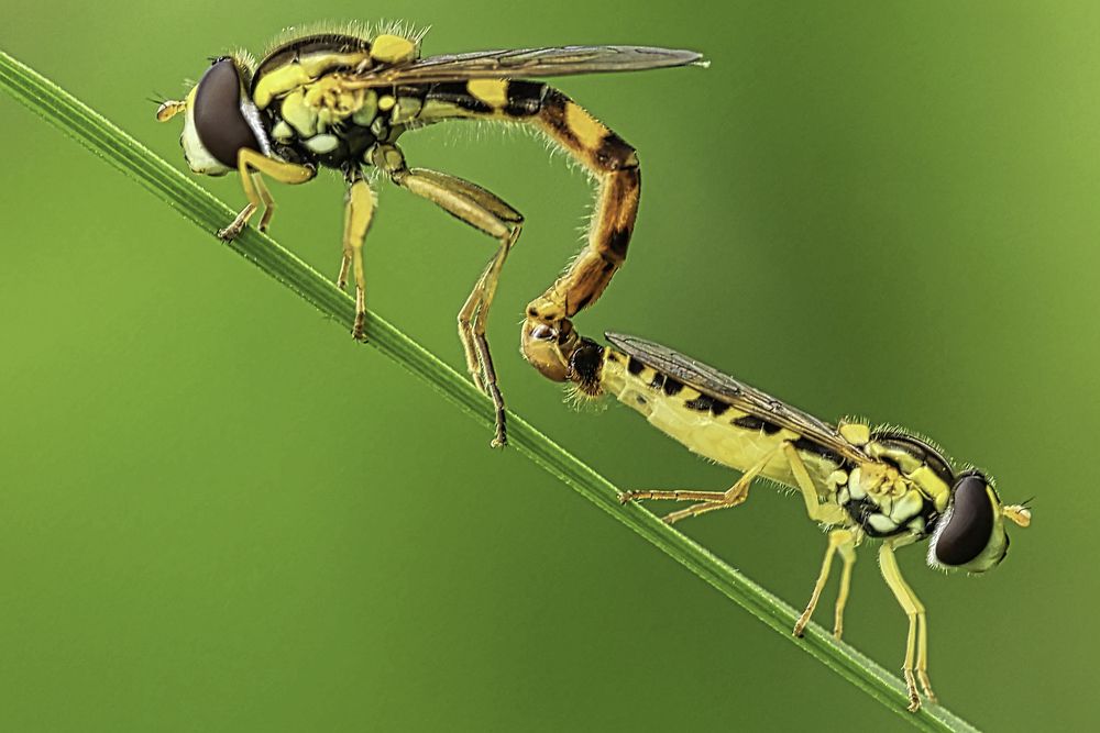 Photograph by Наталья Викарчук