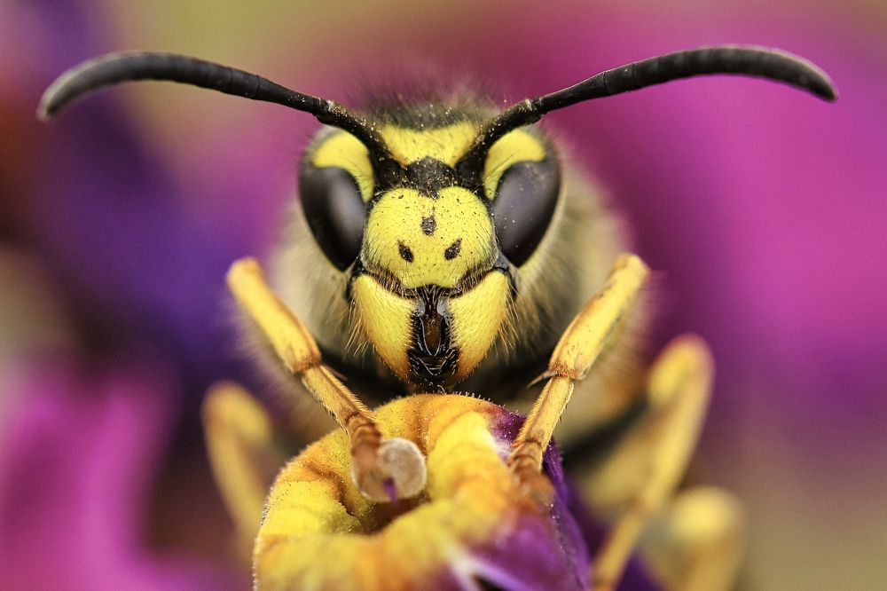 Photograph by Наталья Викарчук