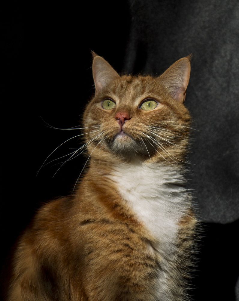 Photograph by Василиса Канакова