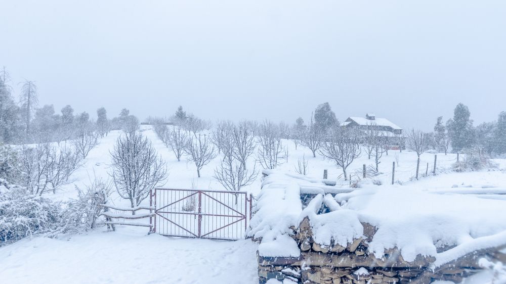 Photograph by ARANYA KAR