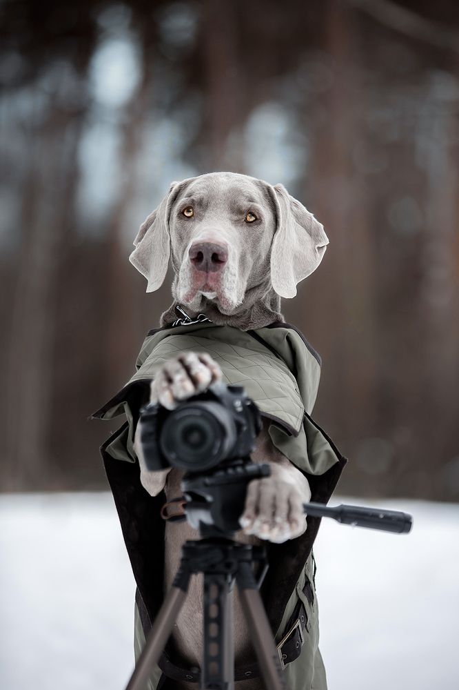 Photograph by Аня Егоренкова