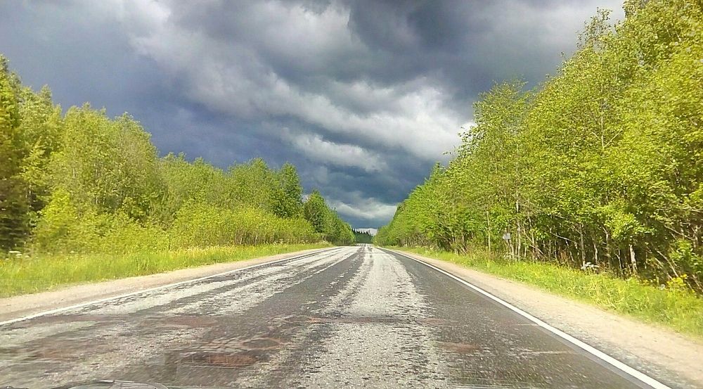 Photograph by Светлана Потемкина