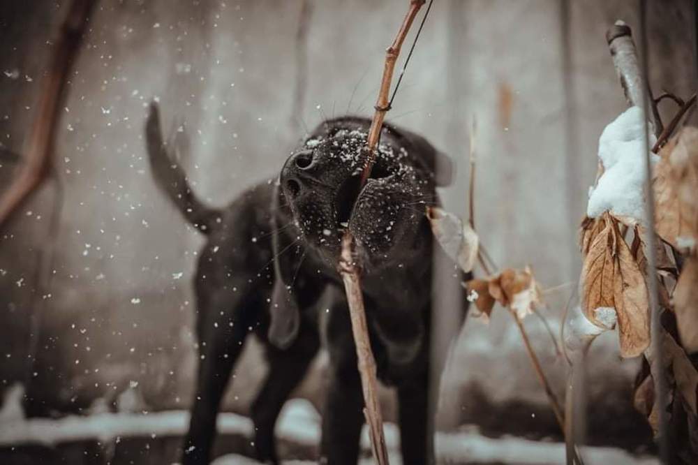 Photograph by David Adilkhanyan