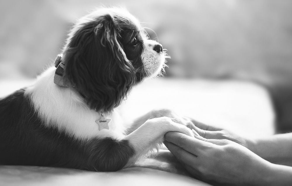 Photograph by Полина Сергеевна