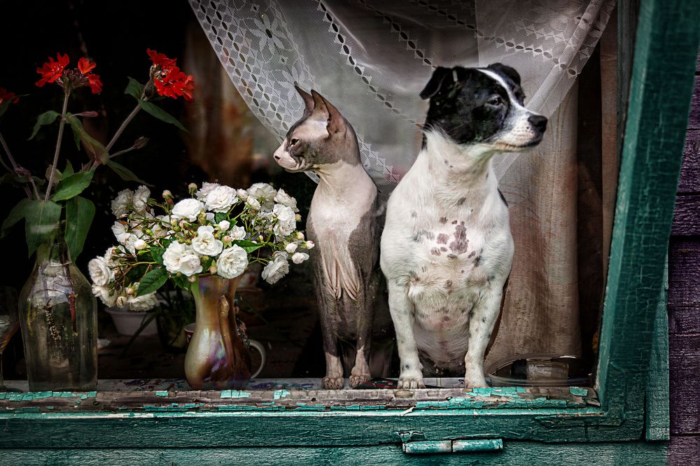 Фотография автора Дмитрий Герц