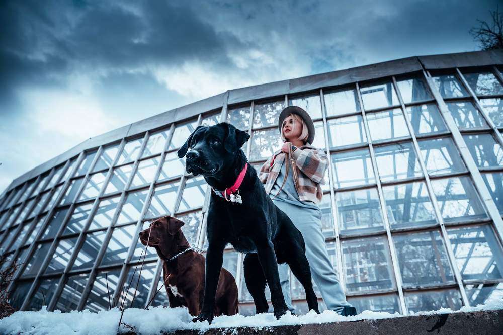 Photograph by David Adilkhanyan