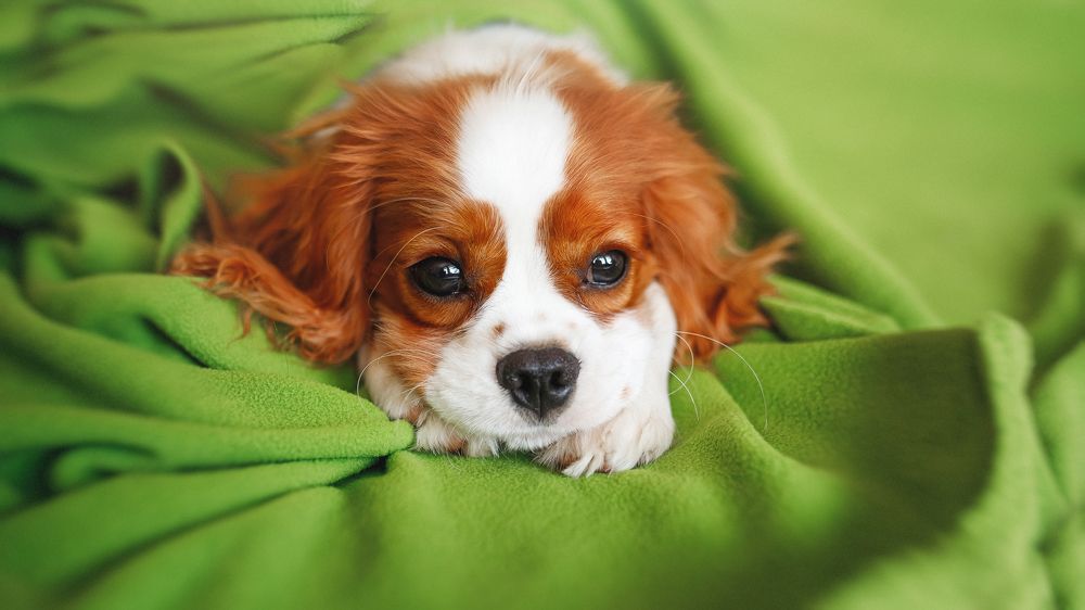 Photograph by Полина Сергеевна