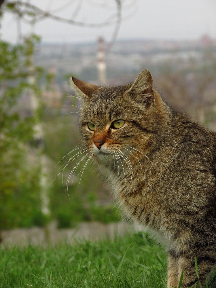 Photograph by Галина Лысых