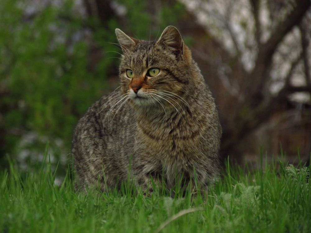 Photograph by Галина Лысых