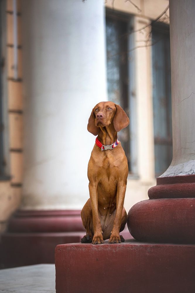 Photograph by Аня Егоренкова