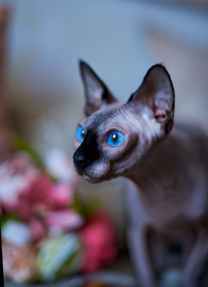 Photograph by Ксения Щербань