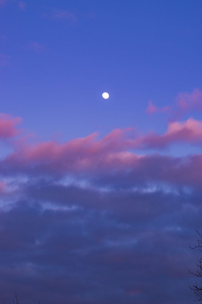 Photograph by Дарья Тимофеева