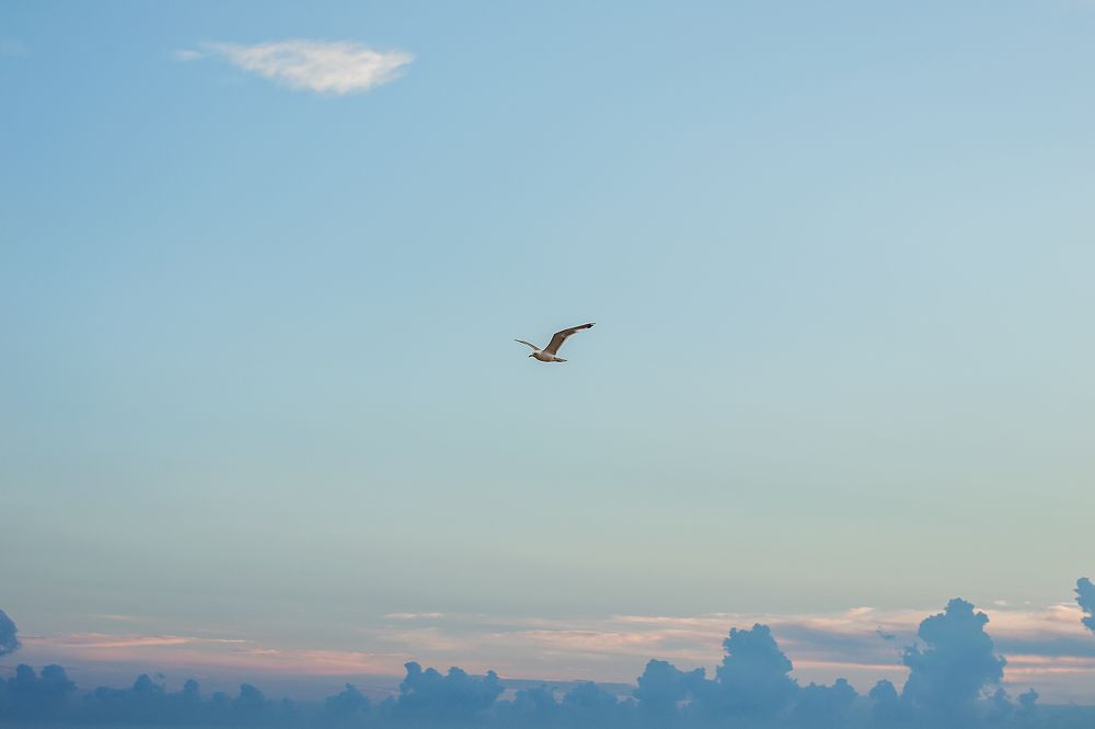 Photograph by Екатерина Кикоть