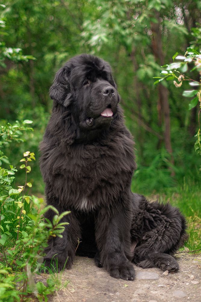 Photograph by Ксения Щербань