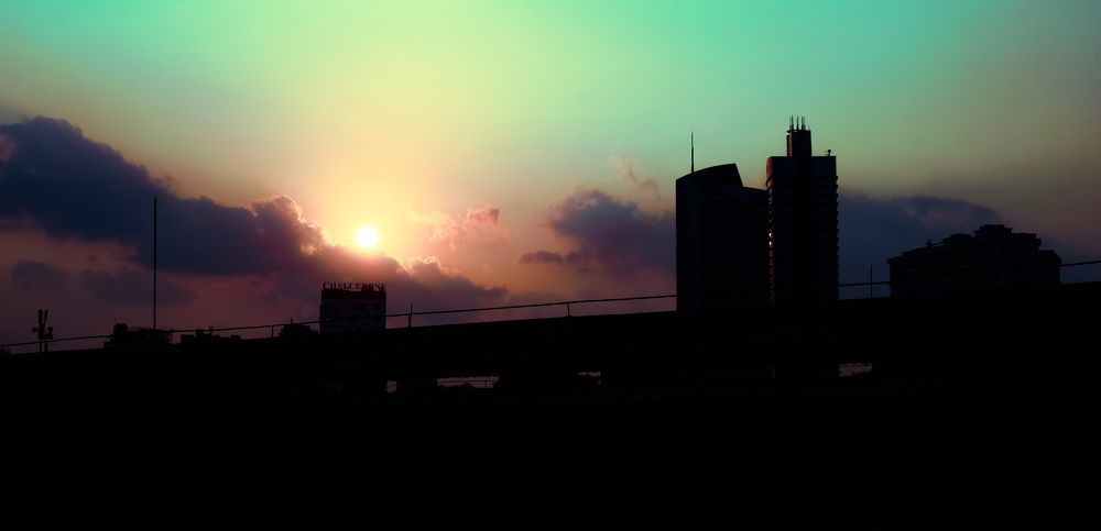 Photograph by Hieu Phan