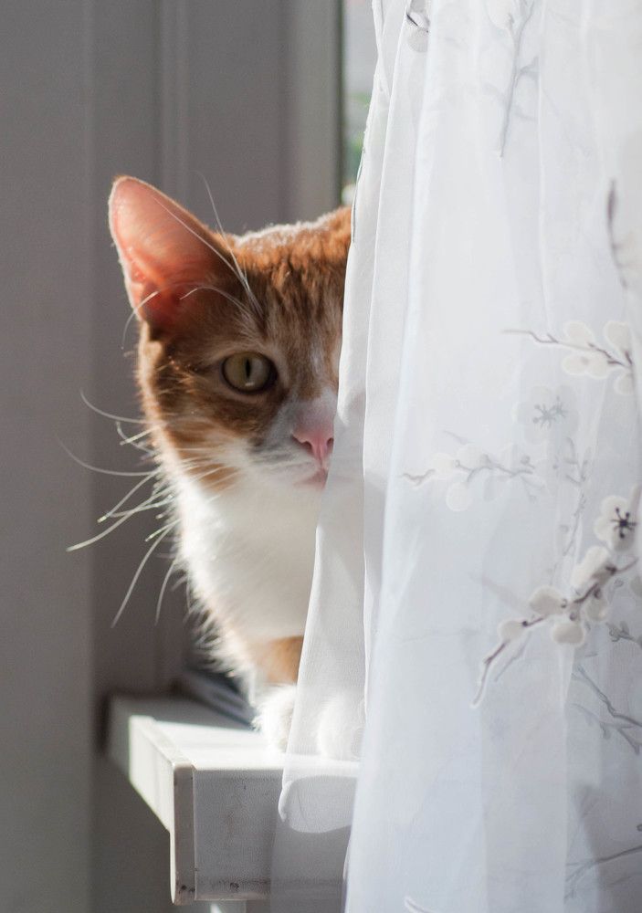 Photograph by Полина Белокопытова