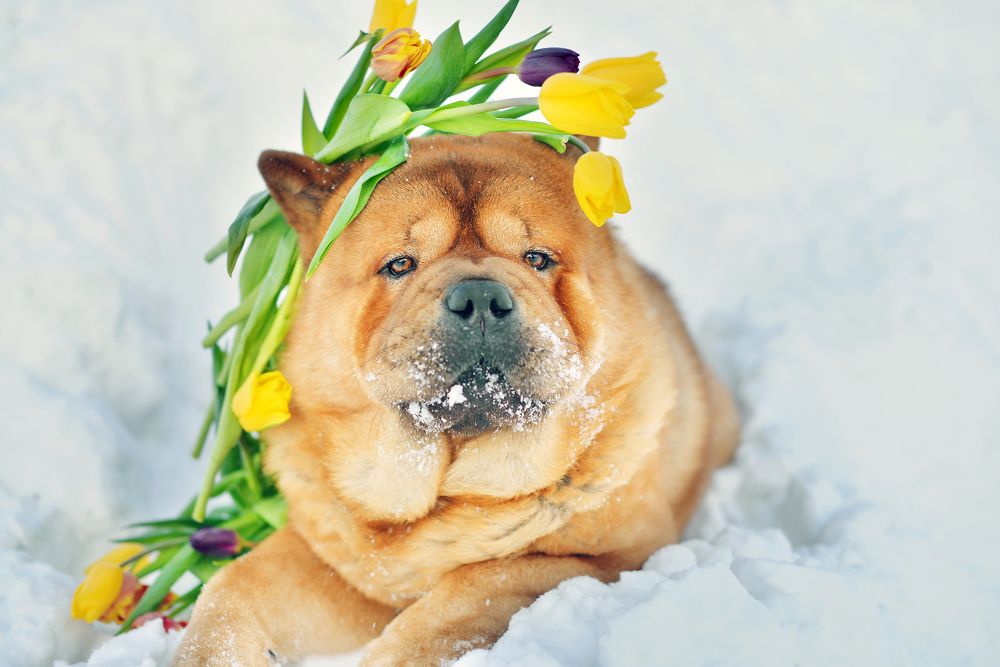 Photograph by Евгения Булавко