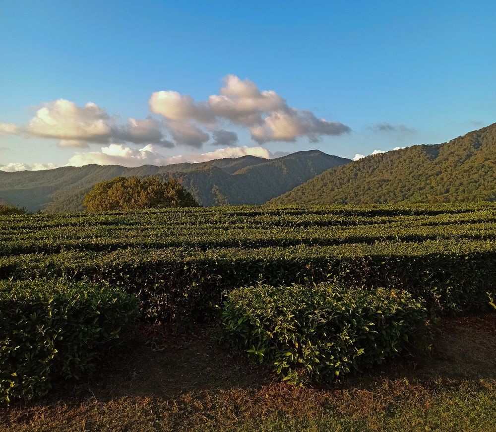 Photograph by Татьяна Мазепова