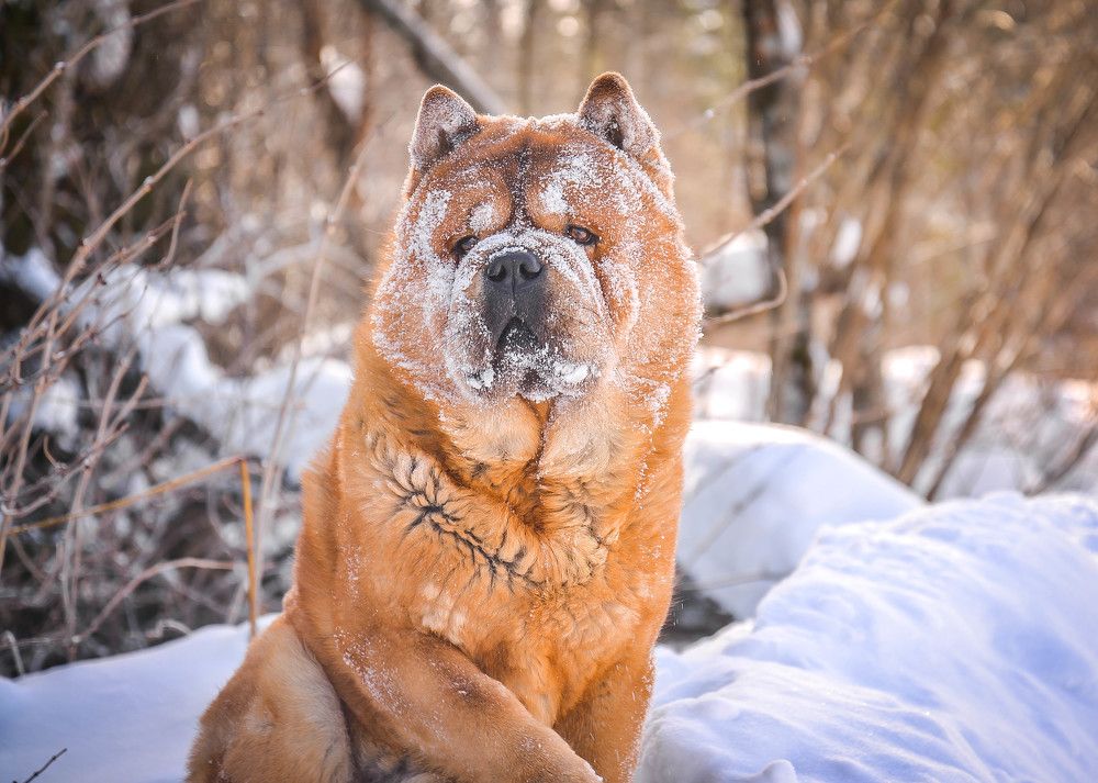 Photograph by Евгения Булавко