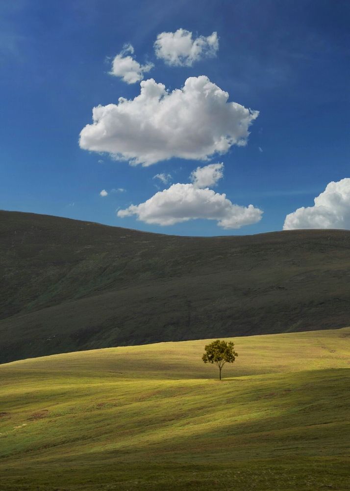 Фотография автора Mojtaba Gitinezhad