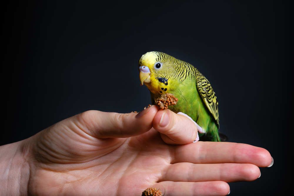 Photograph by Александр Серняк