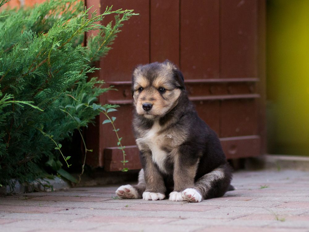 Photograph by Анна Бокарёва