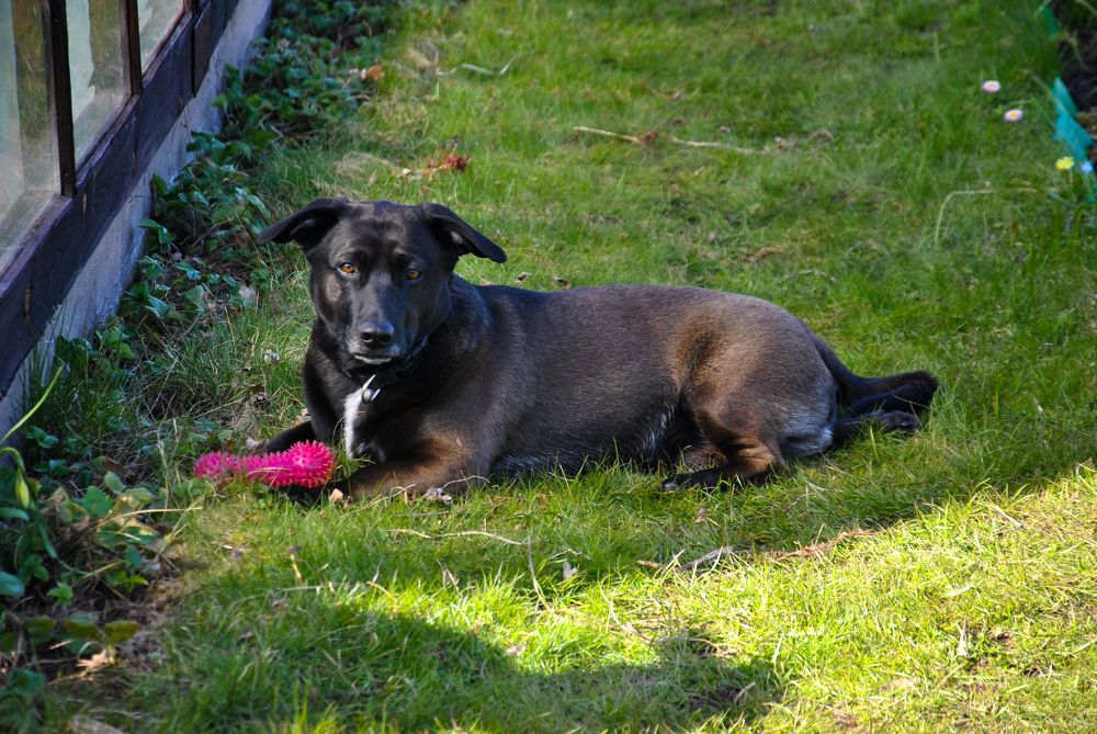 Photograph by Hanna Rein