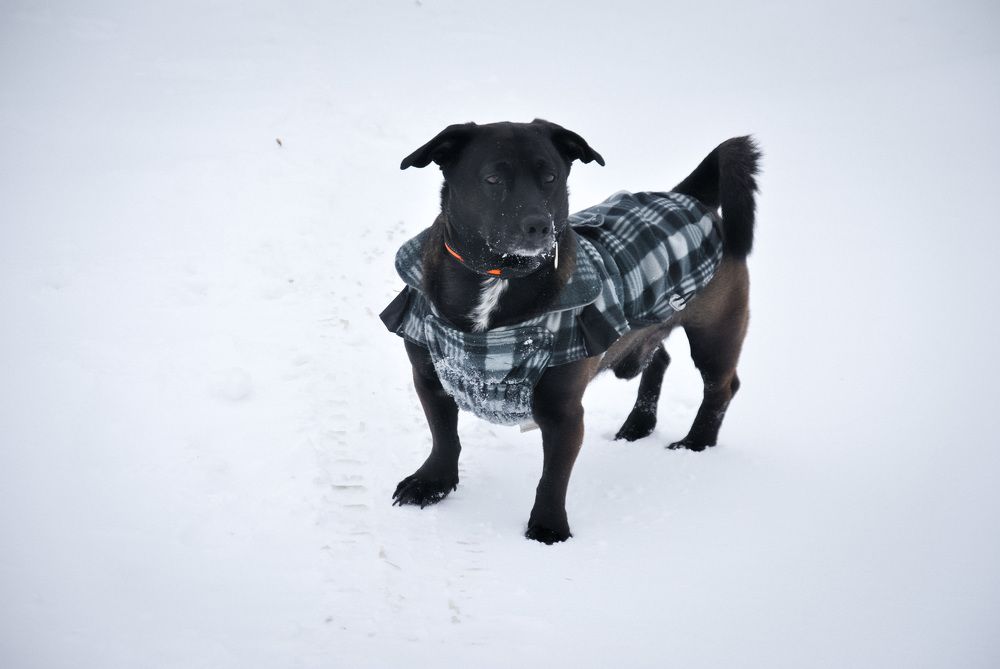 Photograph by Hanna Rein