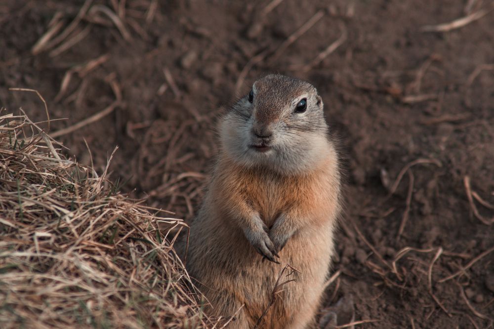 Photograph by Евгений Крюков