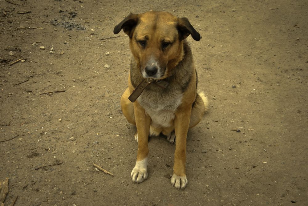 Photograph by Hanna Rein