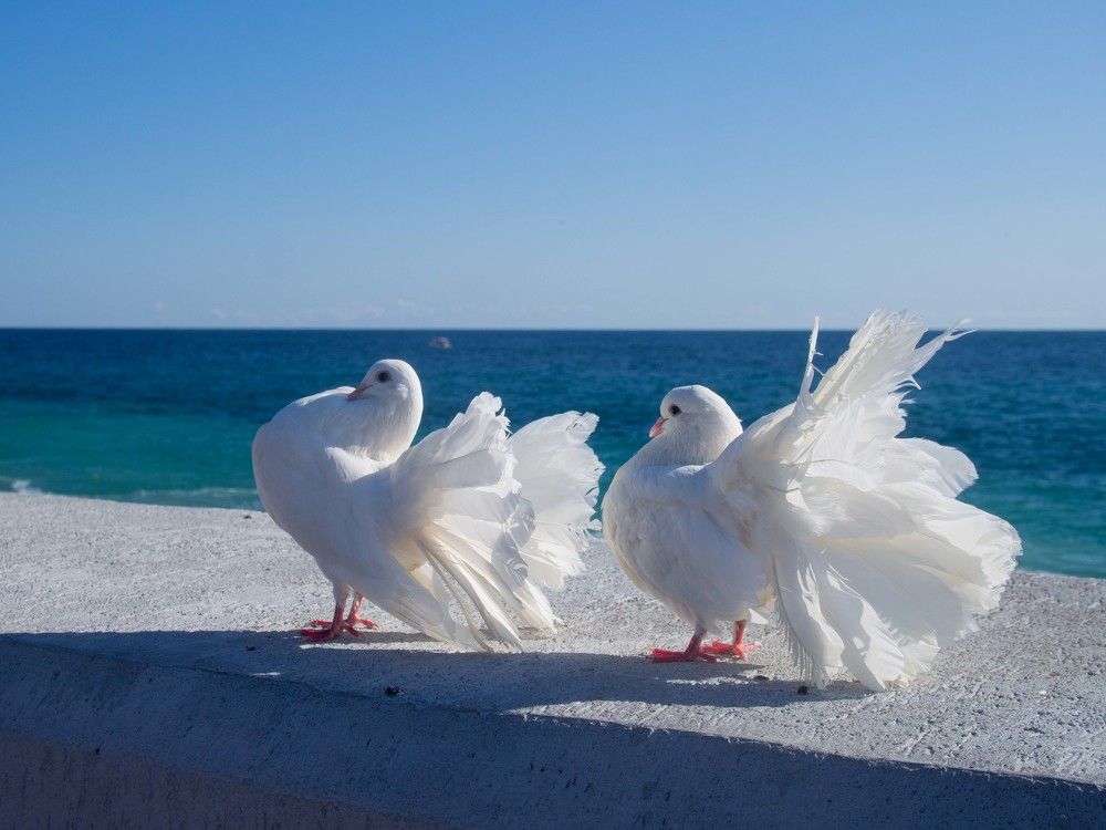 Photograph by Анна Бокарёва