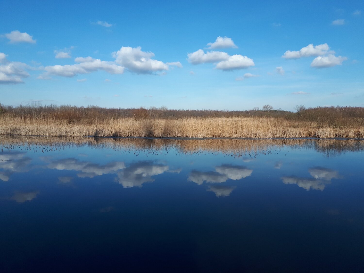 Photo #6065658