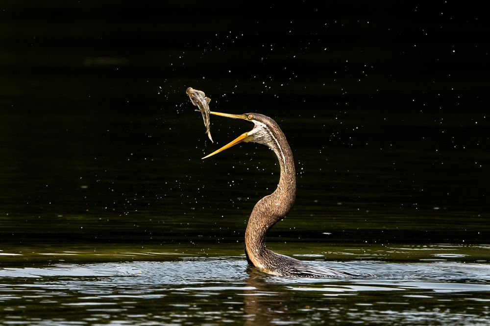 Photograph by Gimantha Perera