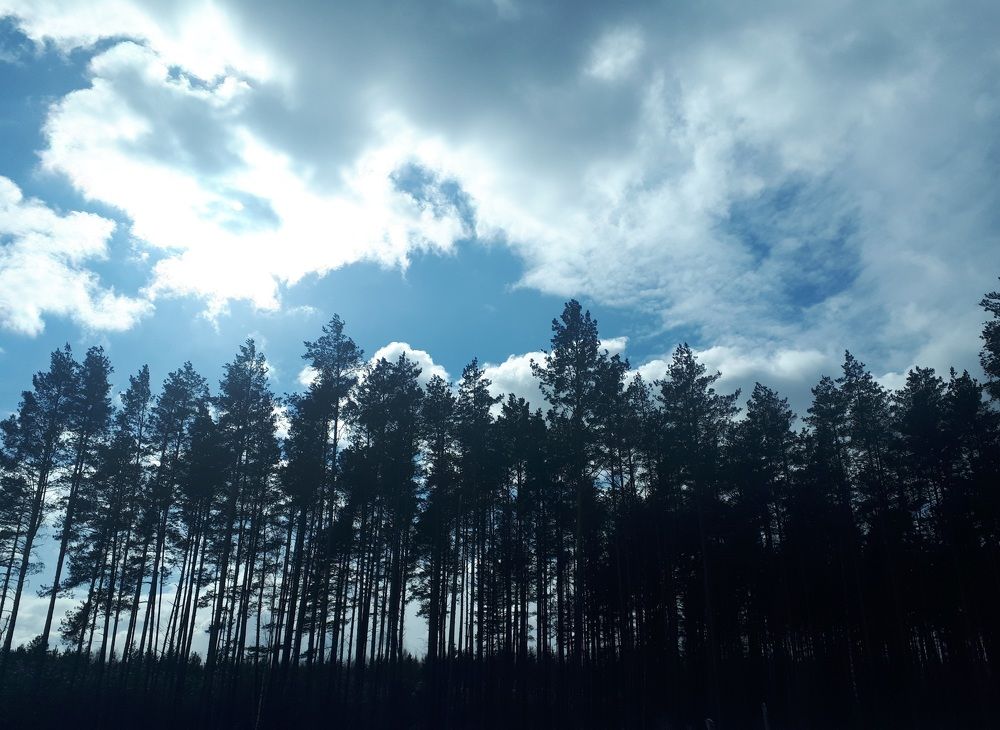 Photograph by Inna Sudareva