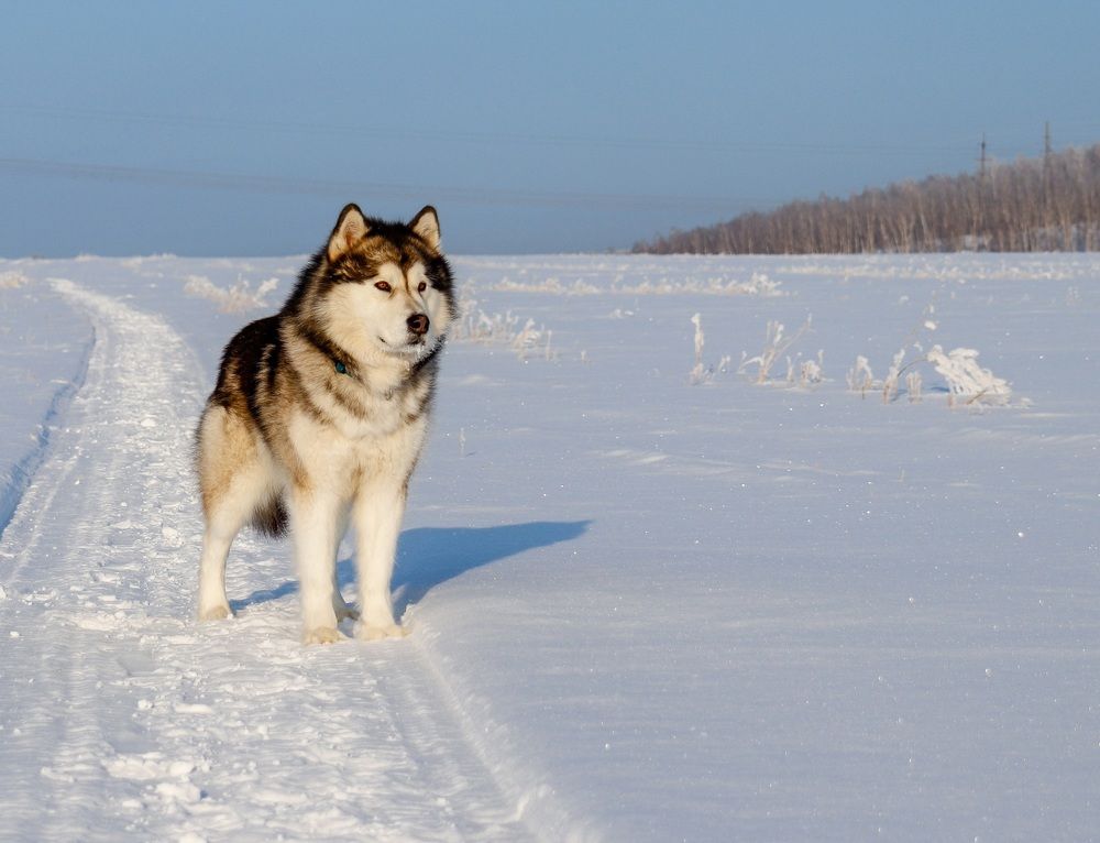 Photograph by Ольга Саенко