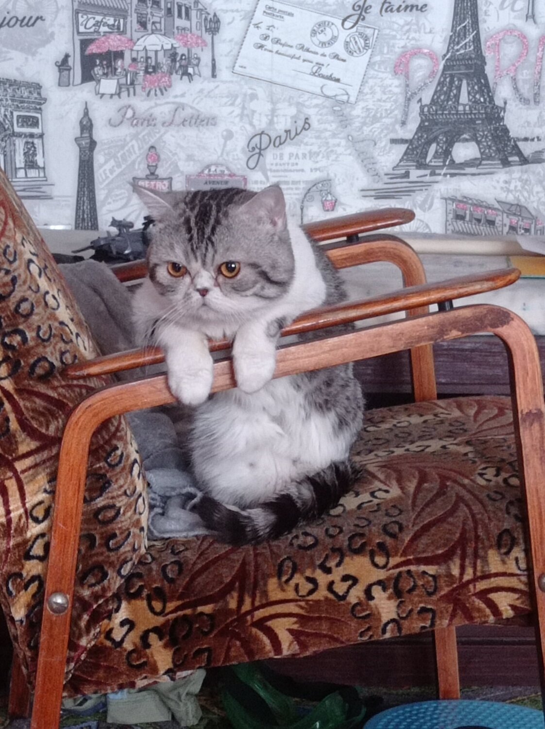 Photo #6065695