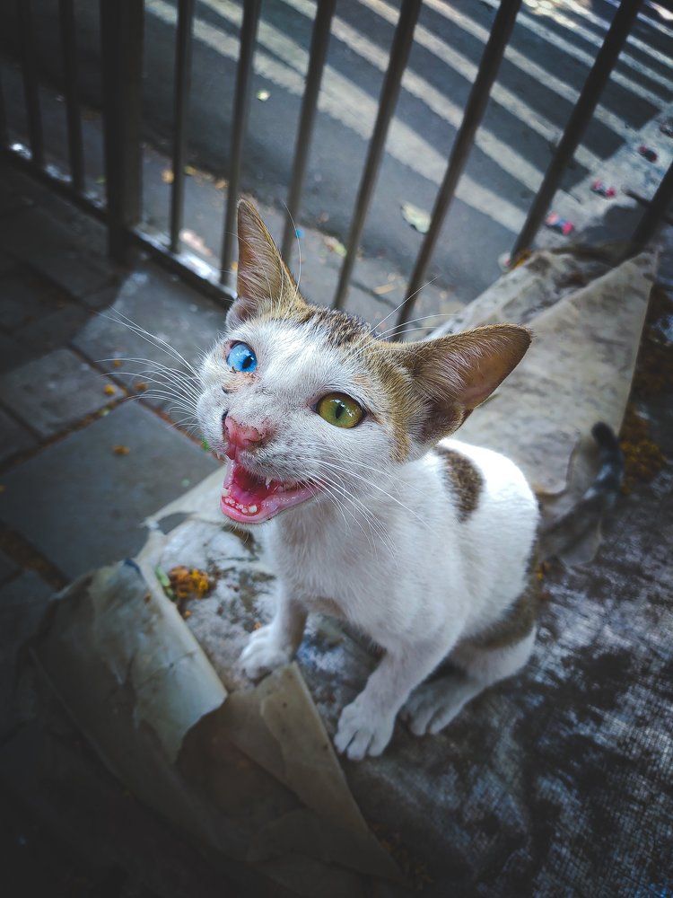 Photograph by Nikhil Jadhav