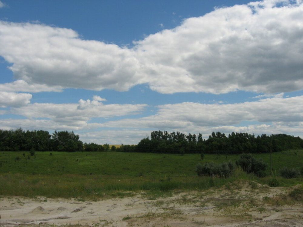Photograph by Алла СиротинскаяA