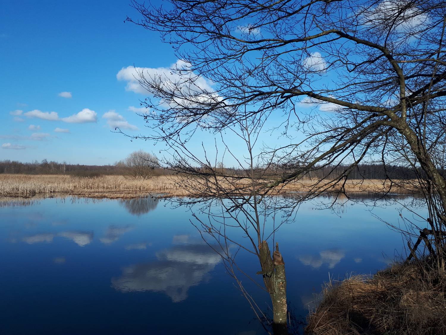 Photo #6065723