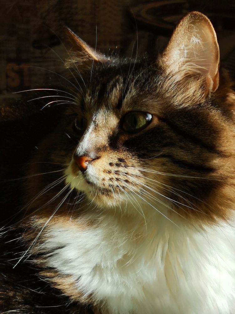 Photograph by Елена Акимова