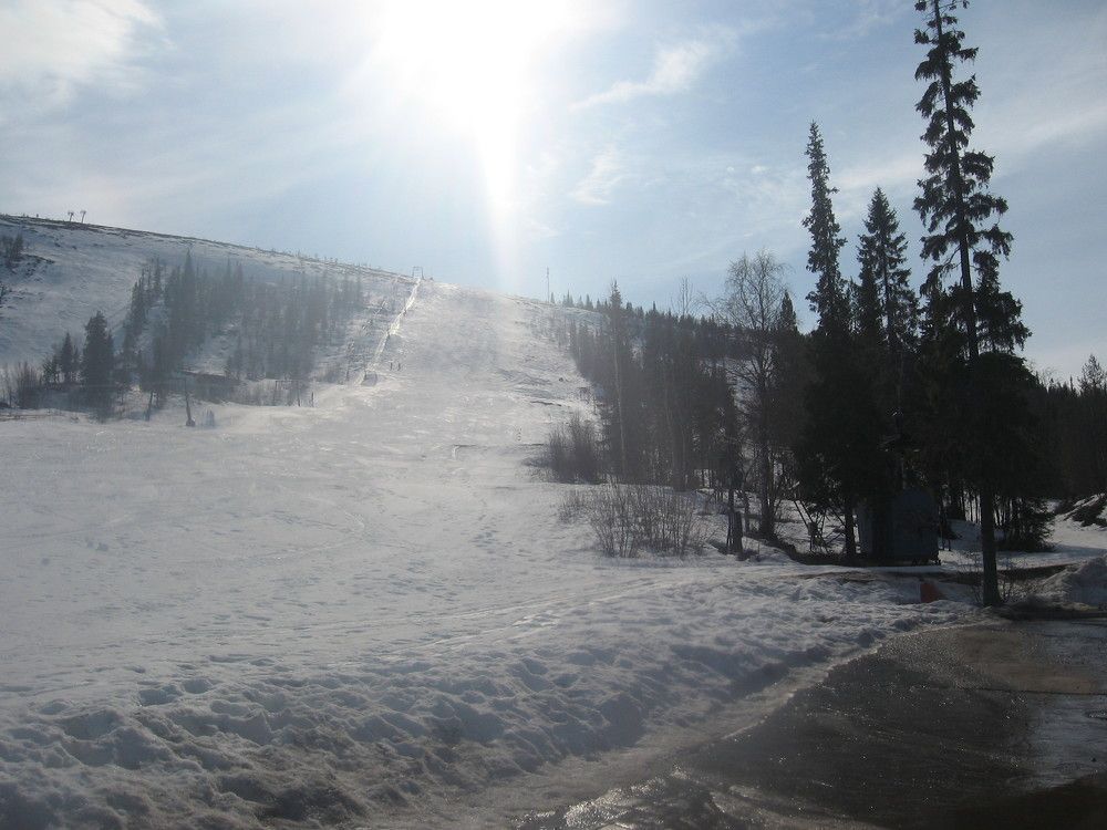 Photo #6065726