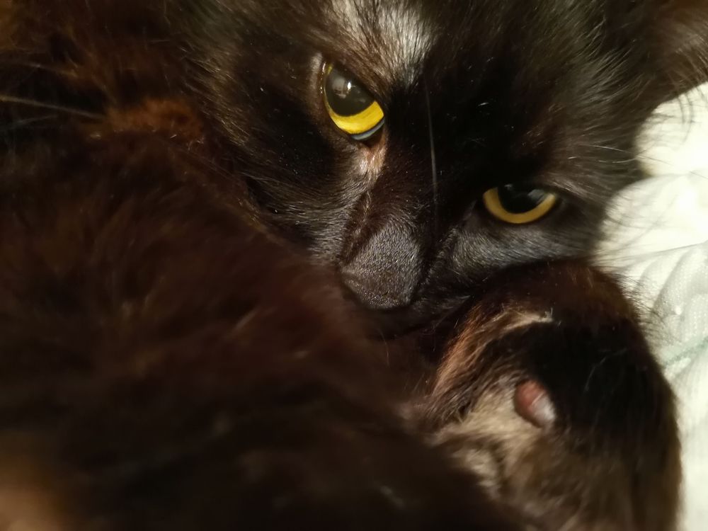 Photograph by Елена Акимова